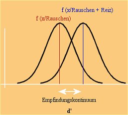 files/Psychologie/Allg-1/signalentdeckung2.jpg files/Psychologie/Allg-1/signalentdeckung2.jpg